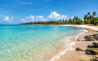 5 melhores praias de Alagoas para conhecer e aproveitar em qualquer época do ano