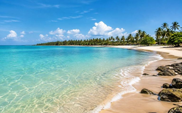5 melhores praias de Alagoas para conhecer e aproveitar em qualquer época do ano