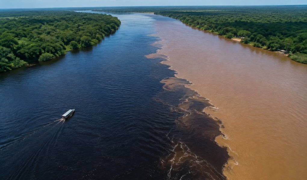 4 bocas pará: guia completo para conhecer esse destino amazônico