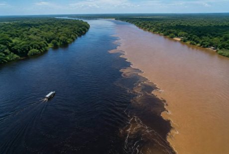 4 bocas pará: guia completo para conhecer esse destino amazônico