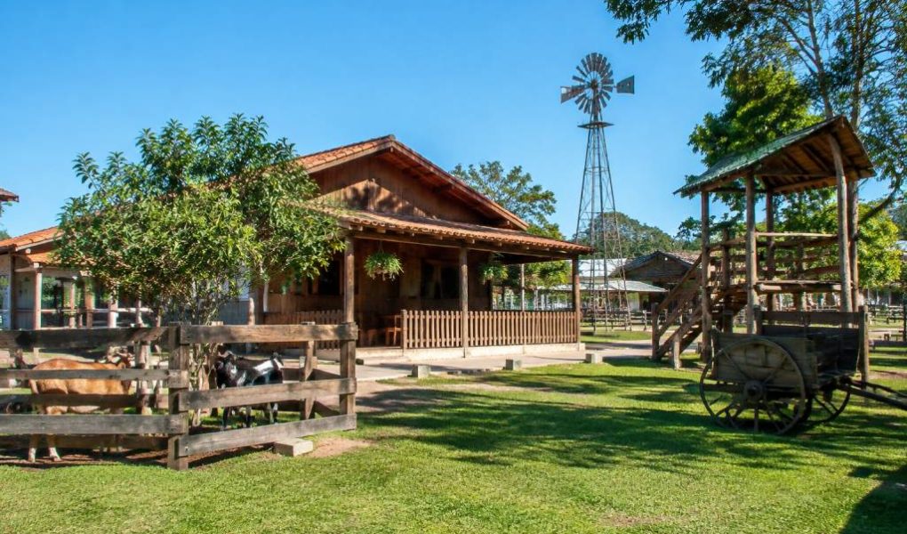 A fazendinha em Campo Mourão: o que visitar e como planejar o passeio