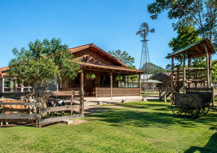 A fazendinha em Campo Mourão: o que visitar e como planejar o passeio