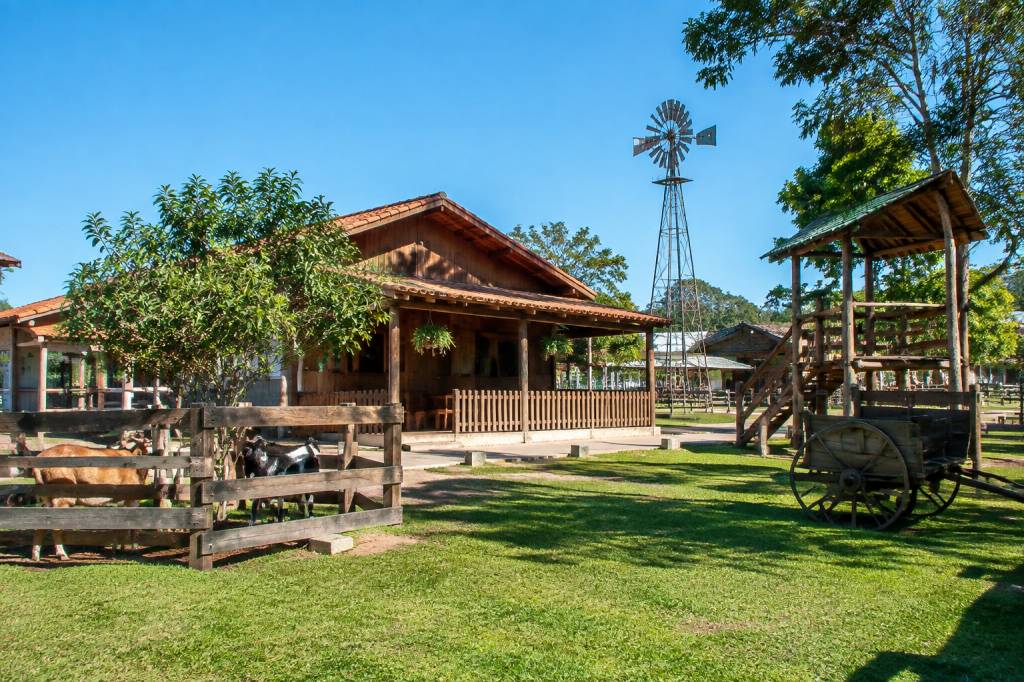 A fazendinha em Campo Mourão: o que visitar e como planejar o passeio